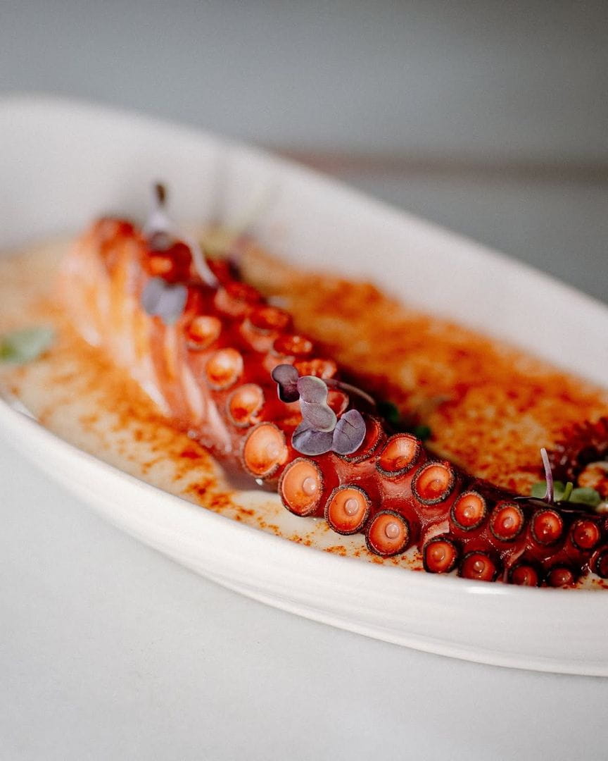 Taberna Salitre Madrid | El Sabor del Mar en Juan Bravo