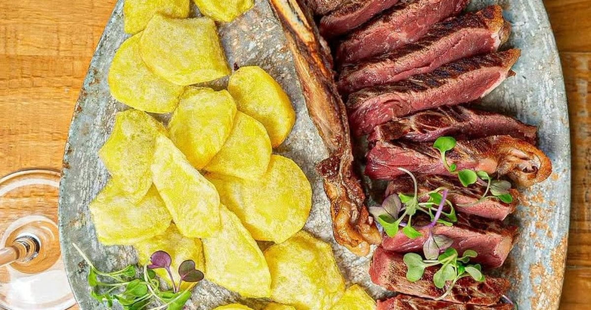 Vinos de Bellota Madrid | Vinos y Tapas Ibéricas