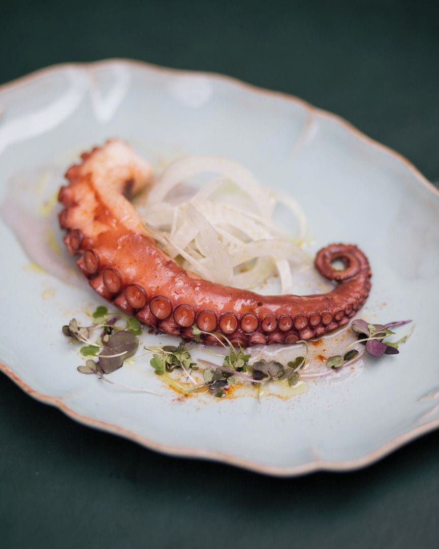 El Modernista Valencia | Español Contemporáneo