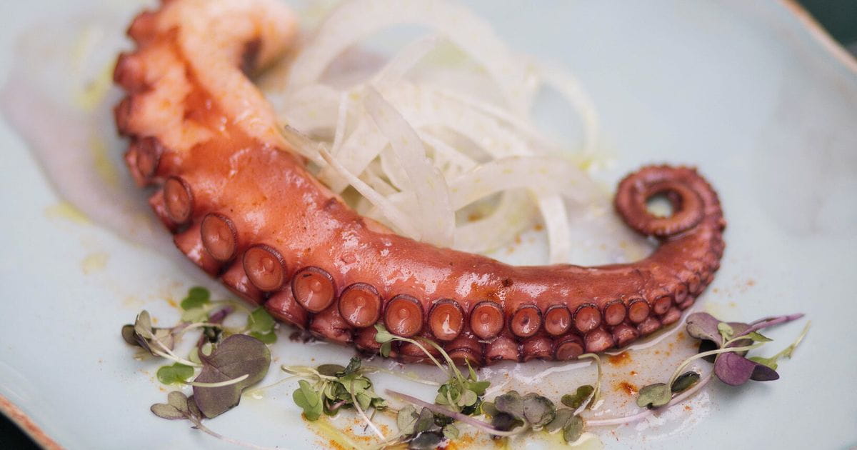 El Modernista Valencia | Español Contemporáneo